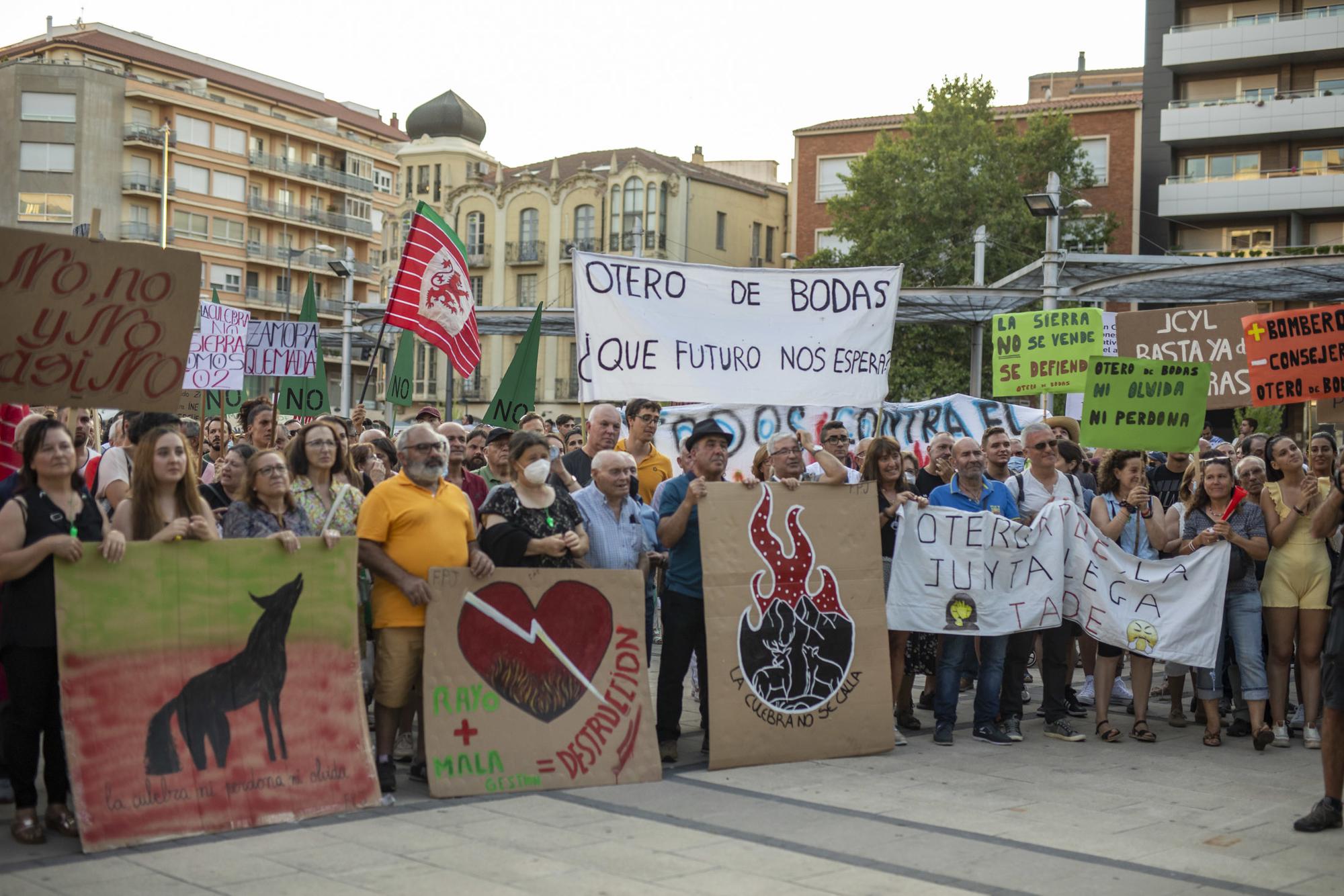 Manifestación Zamora Incendios forestales 28-07-2022 - 9